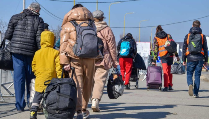 EU asylum applications drop in November 2024, Syrians remain largest group